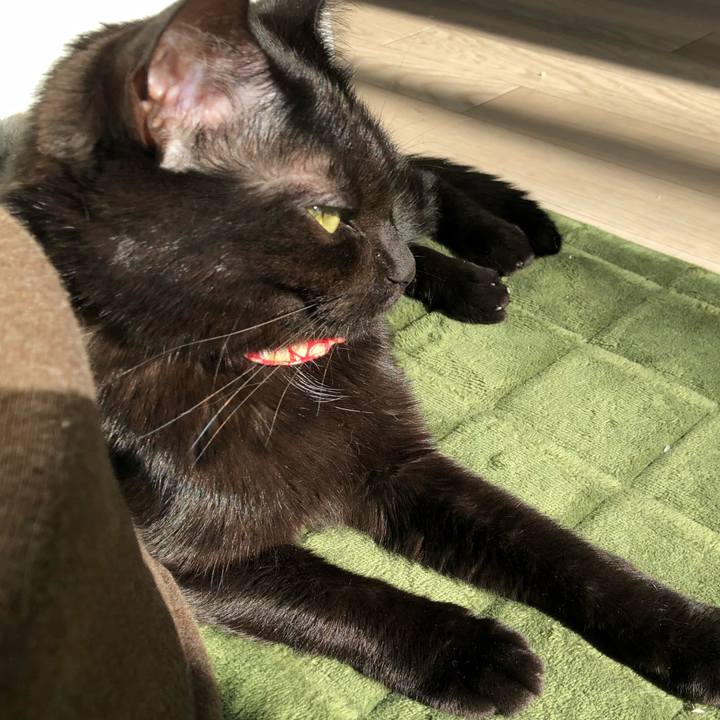 Eb554a40 9307 44ec a8e6 24cd5926fe82 1526389864135