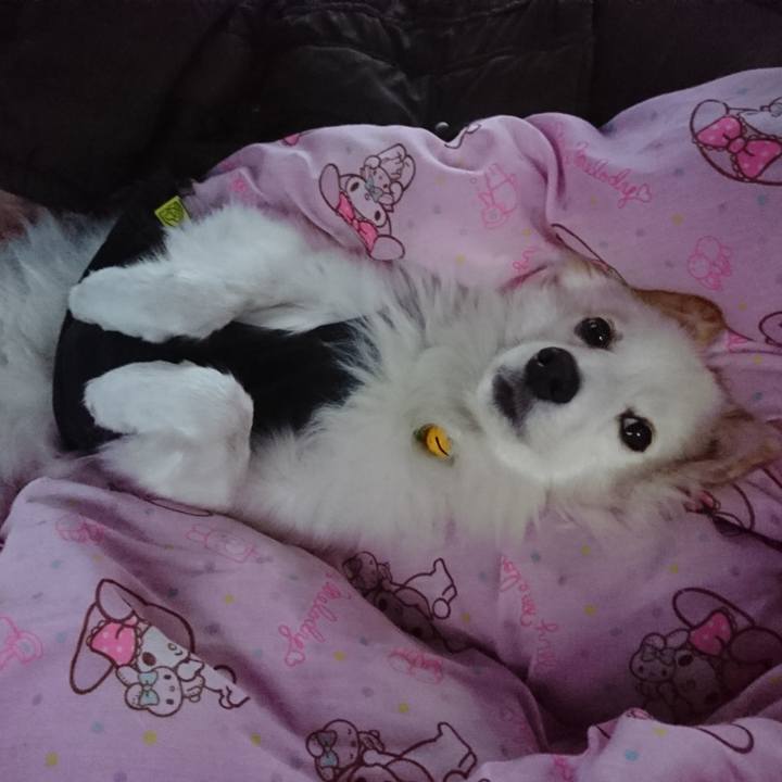 Eb555fd6 2589 4616 a613 abcc1e60a64a 1549464529086