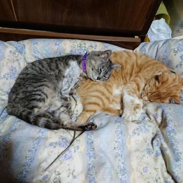 Eb5563dd c1f2 45e9 a144 b603af24c87f 1590584397144