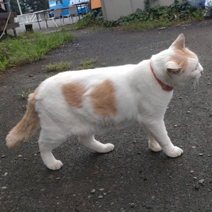 Eb557884 222c 420d 82e0 b63dbffff19f 1757635347275