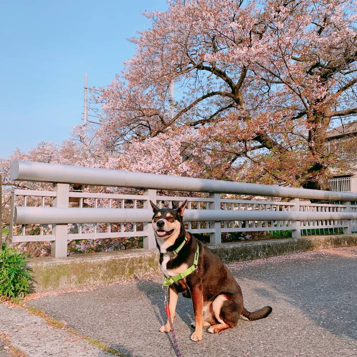 Eb55cadc b3f0 4547 8c31 2093f067b84c 1586994084169