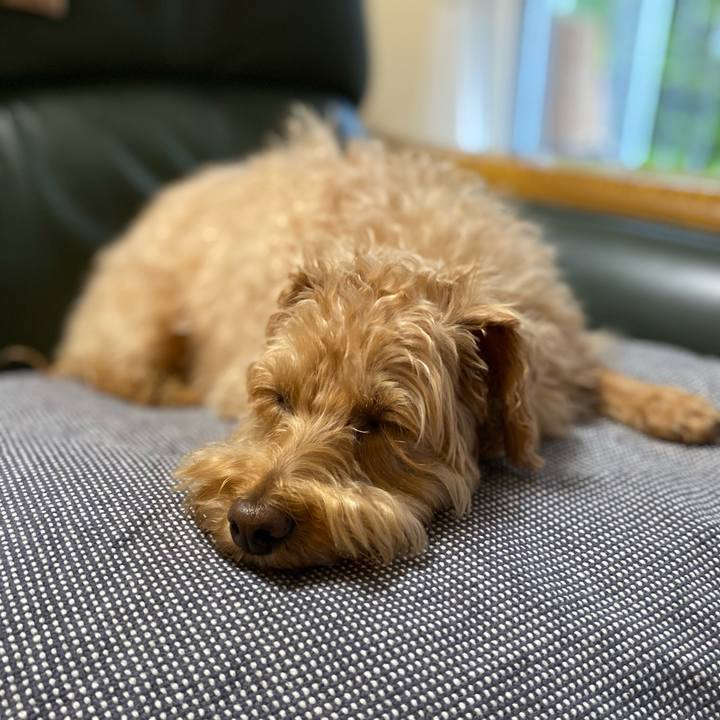 Eb55ed68 adcc 43c2 b414 b60f26ad92d9 1622755663613