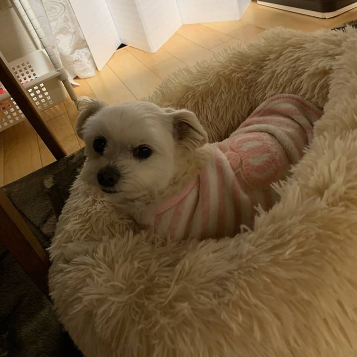 Eb561305 627f 42ab 87fa 32a50acb96e4 1646565021416