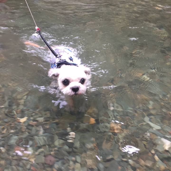 Eb56fcb5 c77e 4be8 94d0 d8f0000e2b00 1534055289624