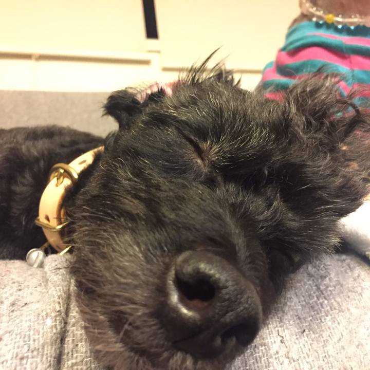 Eb571498 eda6 477e 977f 3b173a5553b1 1534953448501