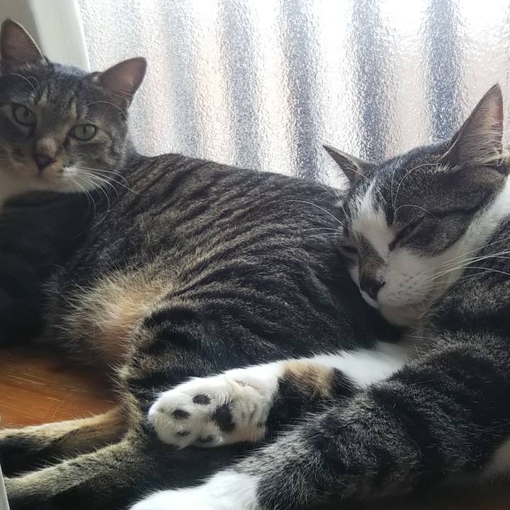 Eb571f5d 6504 417e b401 8272235b2742 1628477361821