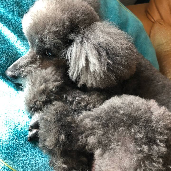 Eb5720d4 8c2e 4bba bd69 2880e39de5b0 1587033532444