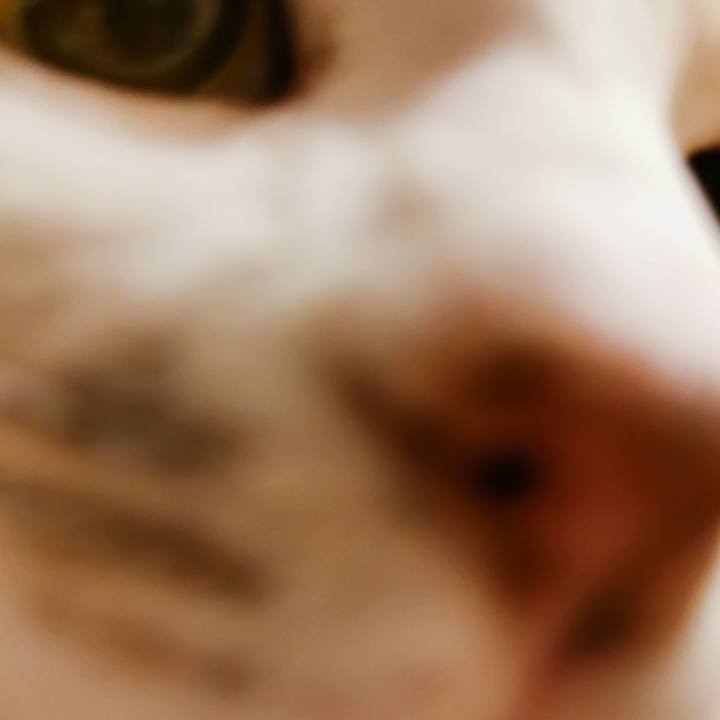 Eb573c0b 8a63 4847 944f 98c3f5bd297f 1643945837870