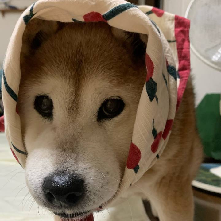 Eb5748de 3f26 4955 b359 da5e3ccc31aa 1666954943101