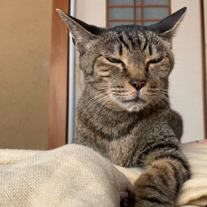 Eb576650 af74 41b1 87ab e60caaf5bcf0 1594602203050