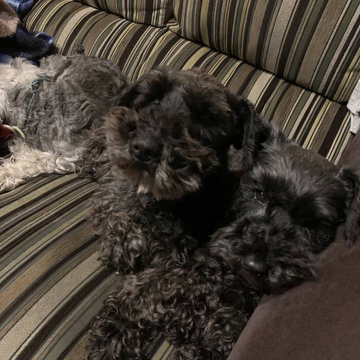 Eb57b6a6 dd26 4e3f bc69 c20cfd1ab0cc 1587990981399