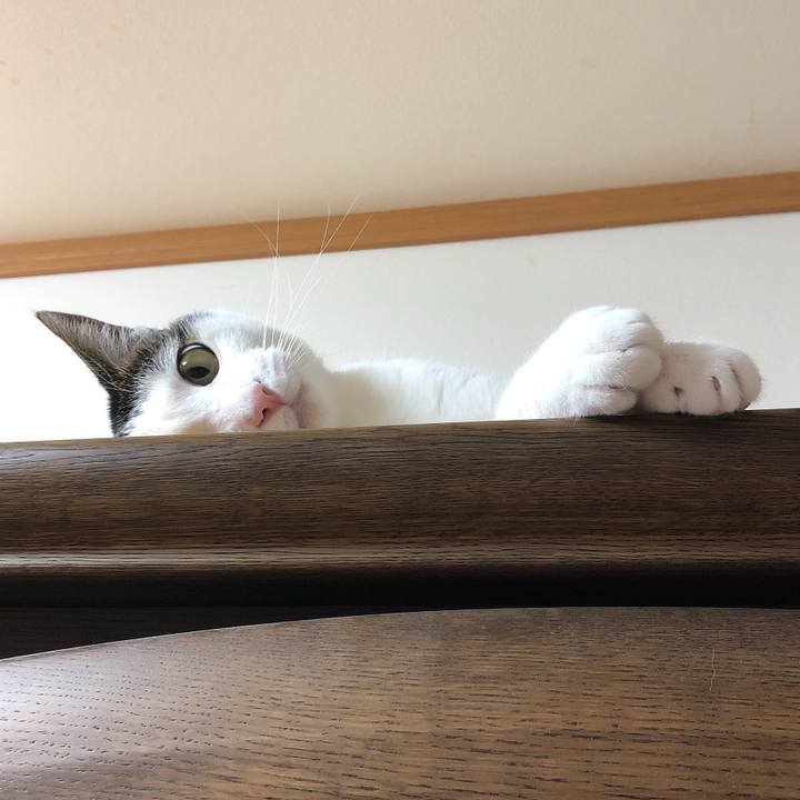 Eb57f166 93cc 4763 9afd 275177b2e0a5 1627088312178