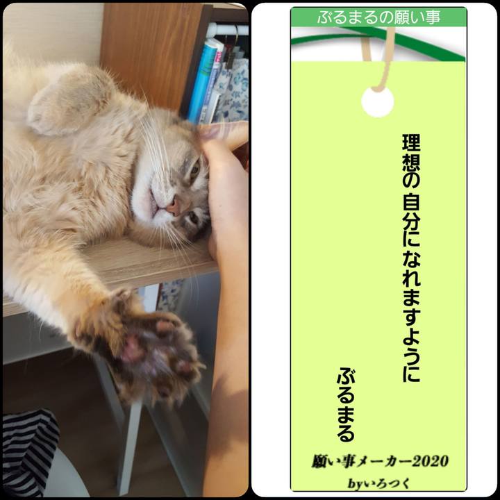 Eb58034c 613c 4141 98a7 7d3debf558e7 1594119799224