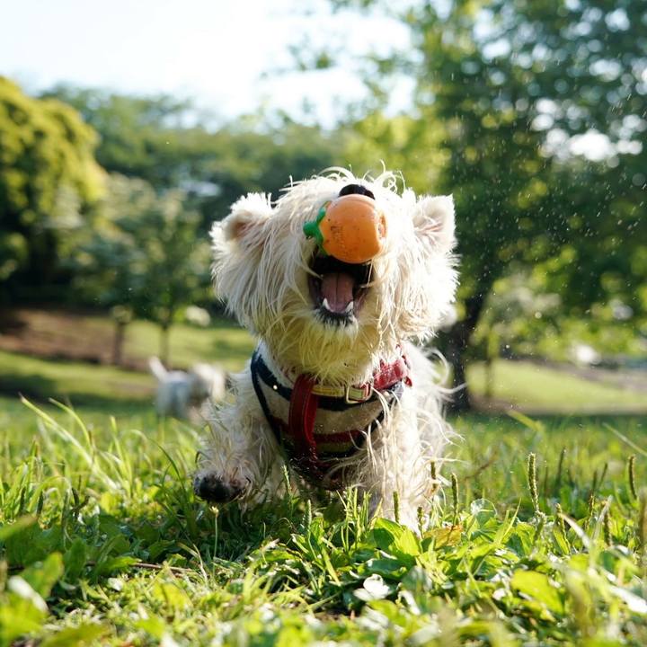 Eb5844a9 83e5 4d36 bce6 711595013de1 1527205914945