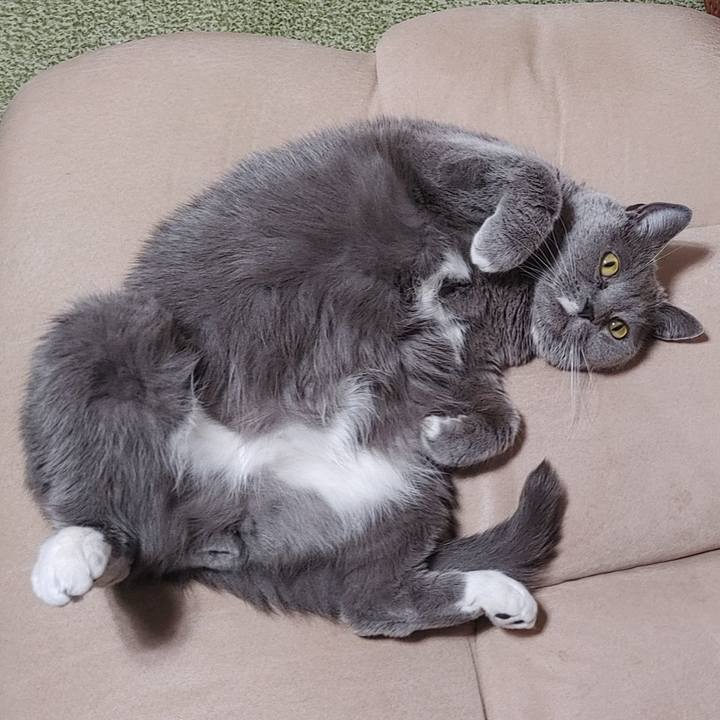 Eb58656c 7a59 46f3 a7b4 00de49ef2d43 1771070836090