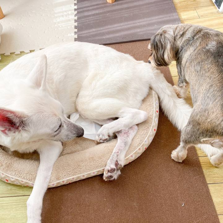 Eb5871ac 3401 488b 8a97 c63af1de721c 1671326772208