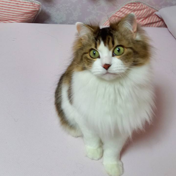 Eb589011 8048 45b7 aa60 1e704045730a 1613036072497