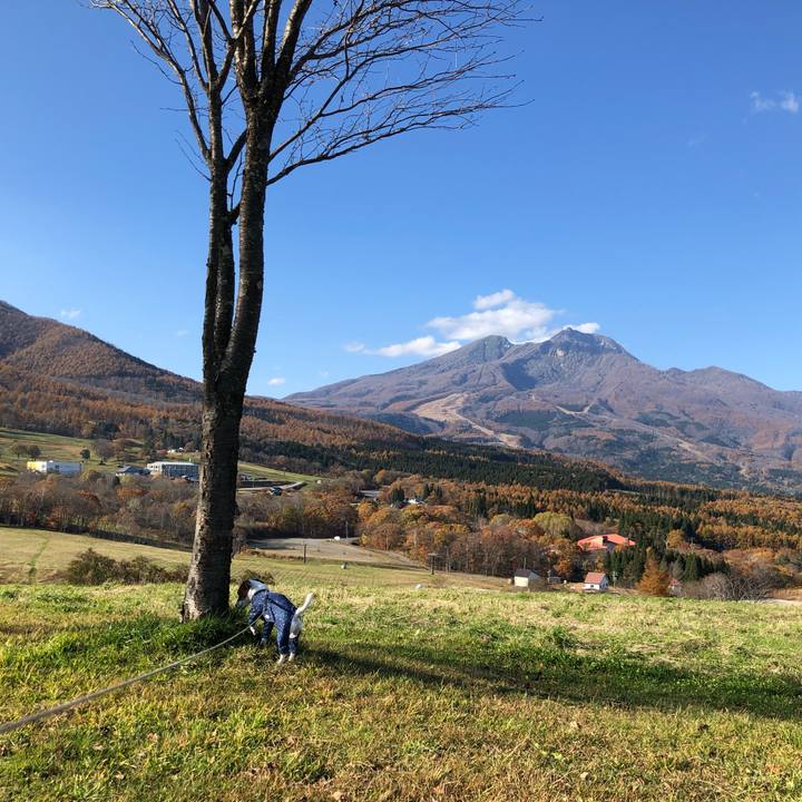 Eb58b53b b593 4766 8803 fe37788fbd7d 1573623971687