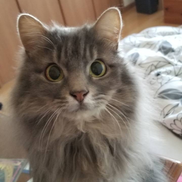 Eb58face 6480 4547 a0a3 32ddb483ea7b 1550787080747