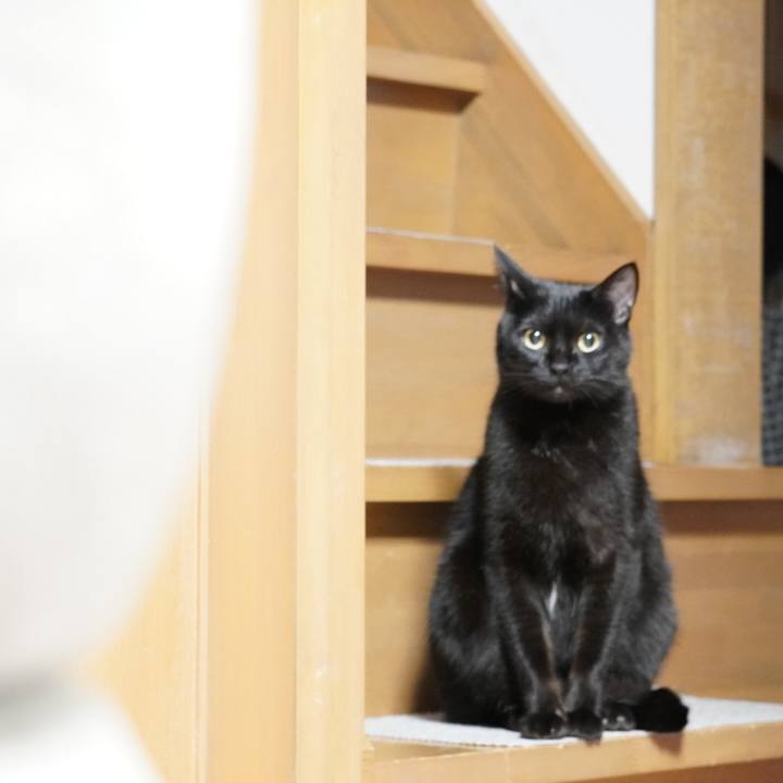 Eb59c909 662d 48c6 a7f4 67d9216804b6 1638005621267