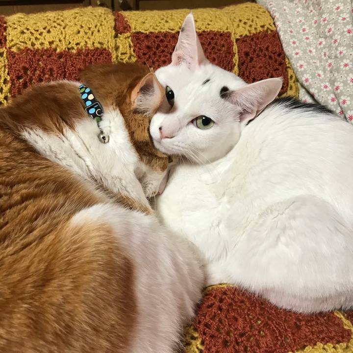 Eb5a0a20 fe0d 4f6b b272 0cce8102f85e 1520767260399