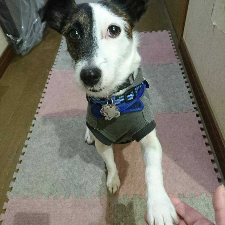 Eb5a3651 f3f5 4ef4 a7c2 f939960a4776 1508883891112