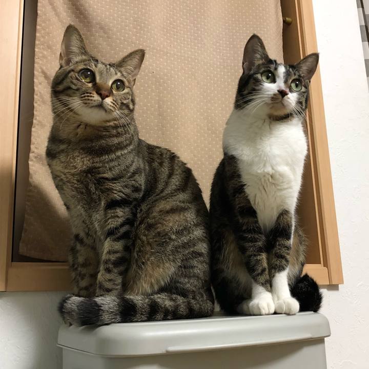 Eb5a51c9 645c 41a3 8c8b 8902020def4c 1515341543628