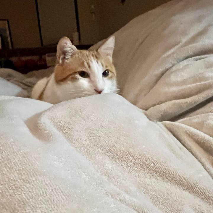 Eb5a65d2 072f 4663 8b4a 2ca56a527f65 1768741693398