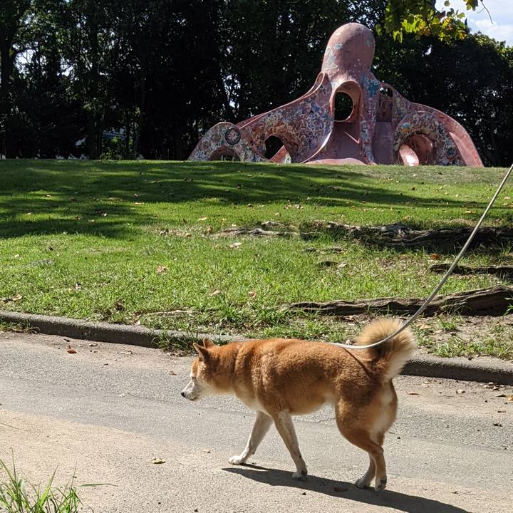 Eb5a71d6 1992 44f0 8535 f3867efd89d1 1727678601674