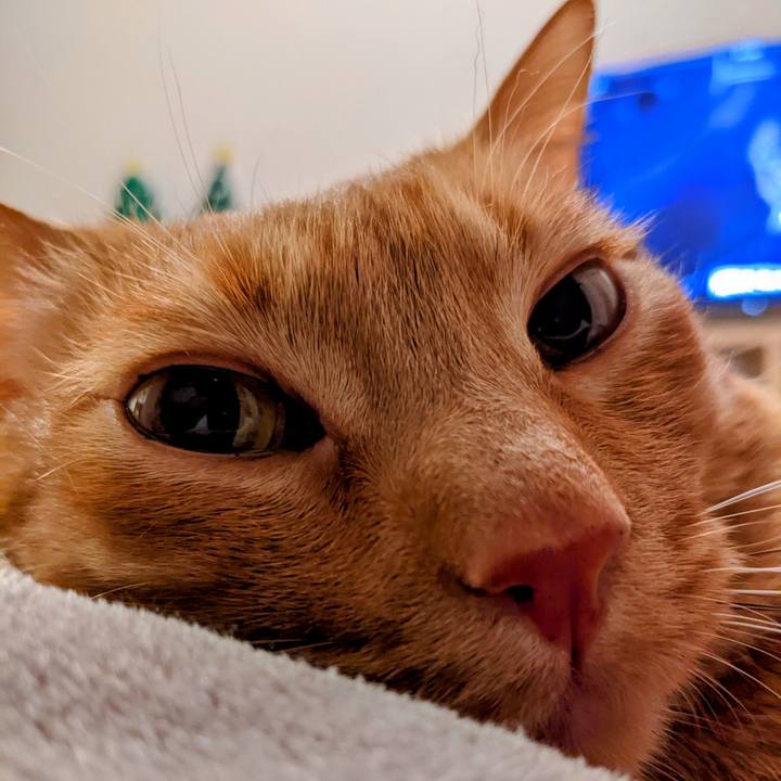 Eb5a7d9b 8cde 47ad 9b0a e5329f54346e 1640177999324