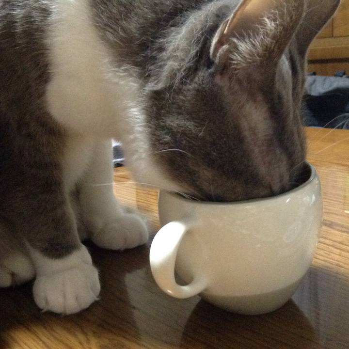 Eb5a9a6b 3463 4fa8 9227 31788ed13682 1522501934317