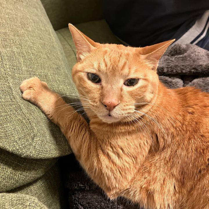 Eb5aab61 463d 495e a142 f945ca9d86ce 1765541165052