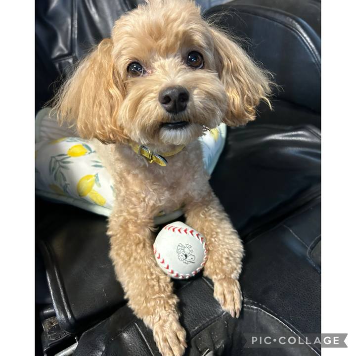 Eb5ac200 4ee7 4ddb 9fbb 88954fe49f60 1729417643200