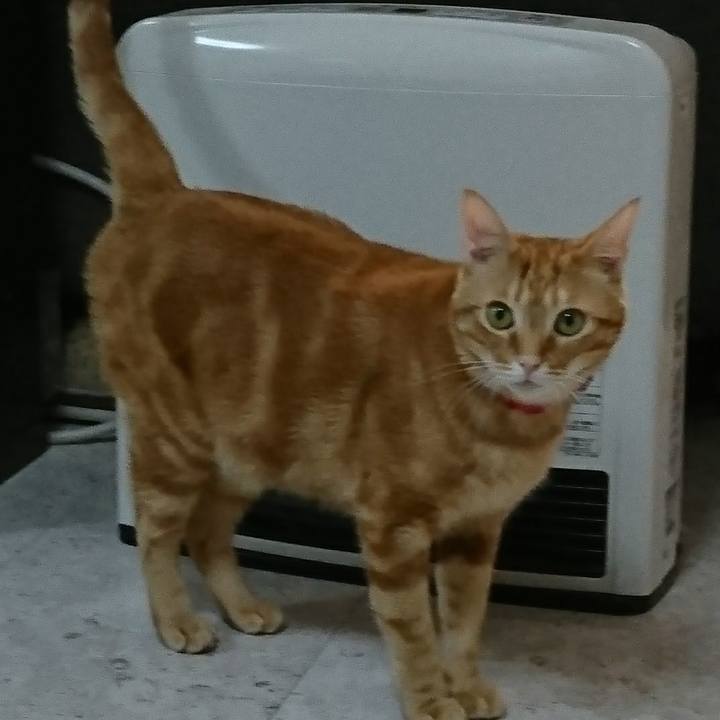 Eb5adb06 38f7 45e7 a657 5afbc4a06875 1517266105074