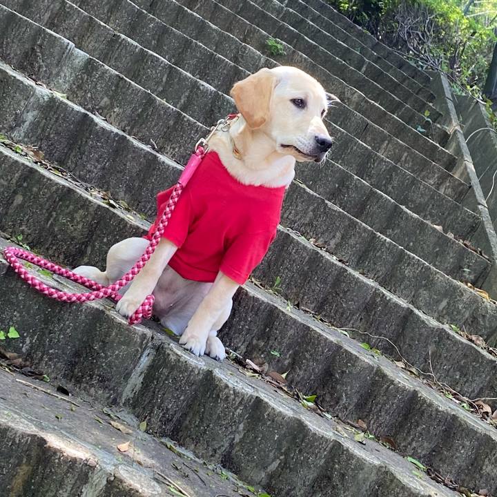 Eb5ae836 cb91 43e3 b56f 175bb09b226b 1620949622617