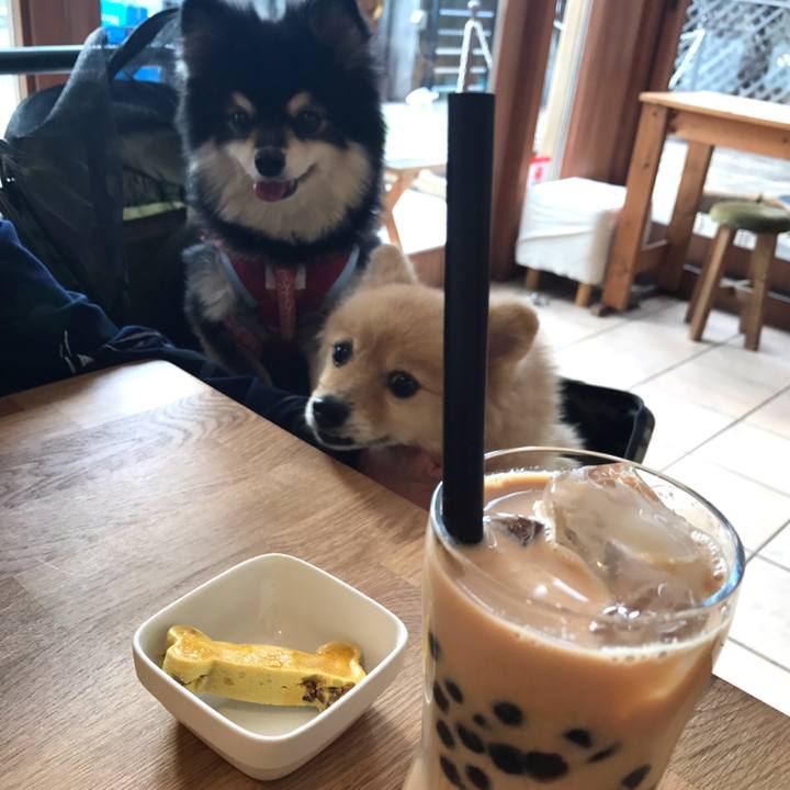 Eb5b07c5 fd27 4839 a659 502852da876f 1590231347079