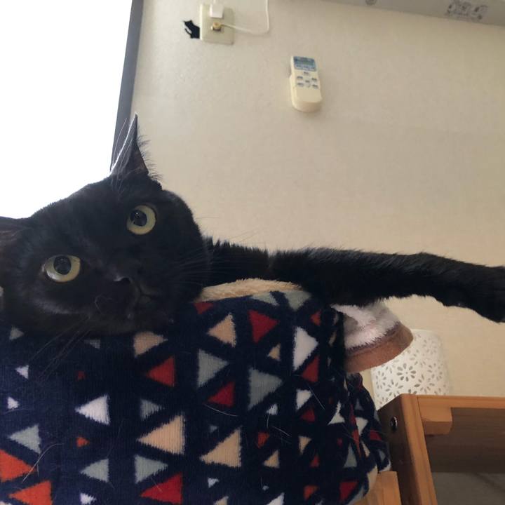 Eb5b2273 8014 491b 840f 38424e369da1 1625524743830