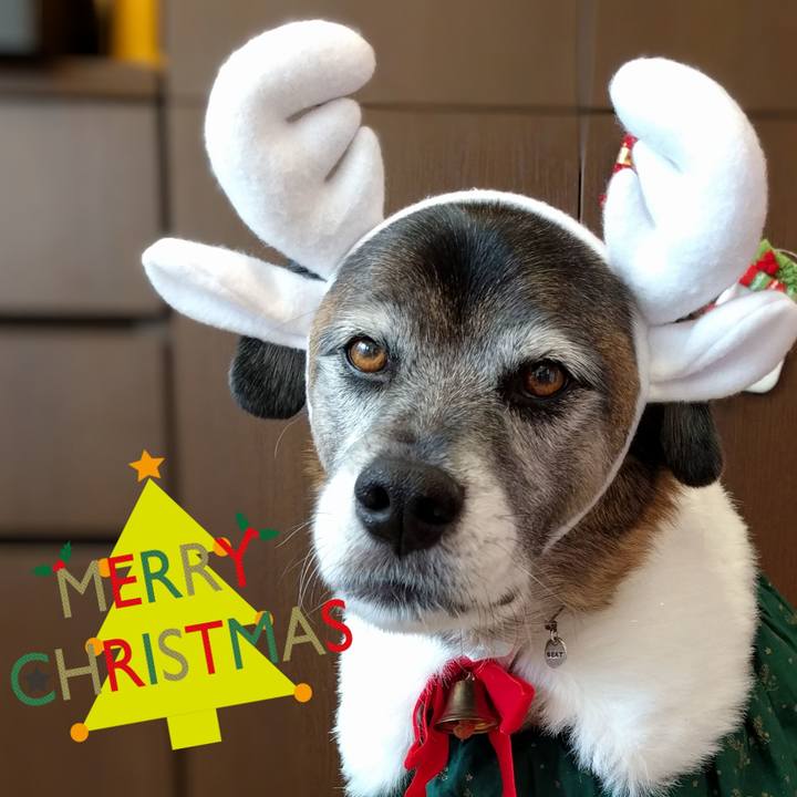 Eb5b4062 4b84 49b2 9315 50945895025d 1703378692603