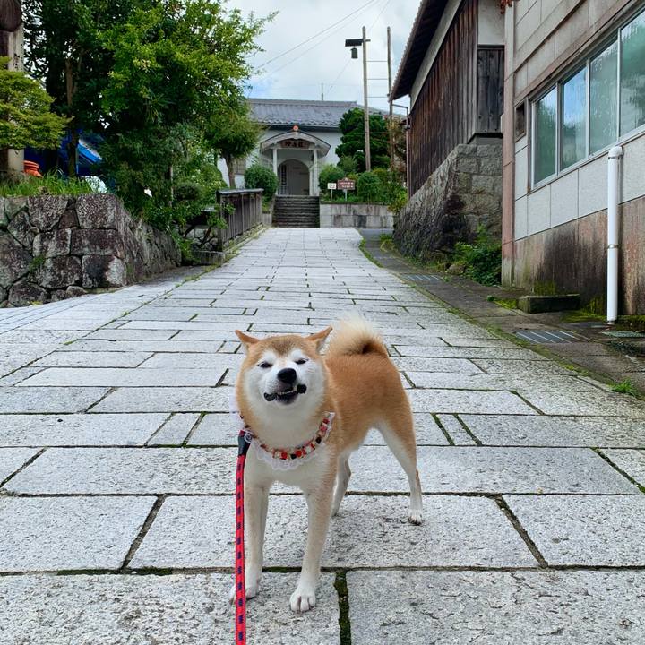 Eb5b8d71 6e56 4caf a441 192ecf766569 1662194976253