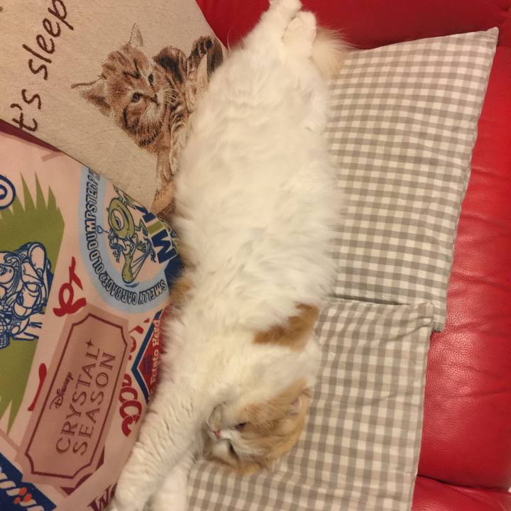 Eb5bd530 deb8 41ce aa37 55b0146da16f 1553261059243