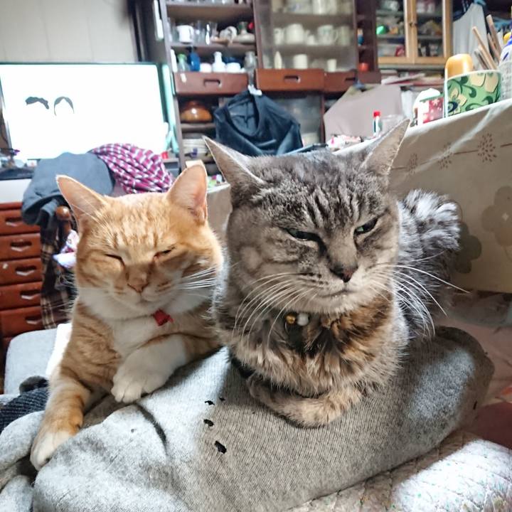 Eb5be6c6 f24f 4f61 ae7b d50d8fba749f 1575841446142