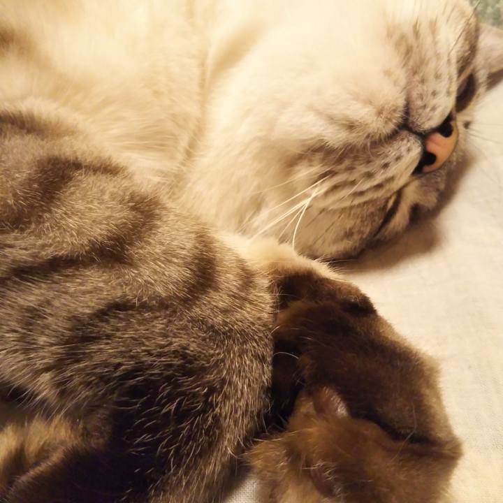 Eb5bf07b 39d7 405c bf12 0438f14c1e94 1535552818617