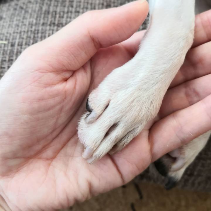 Eb5c3893 c081 439a a1b1 0c0b71660d92 1561768449739