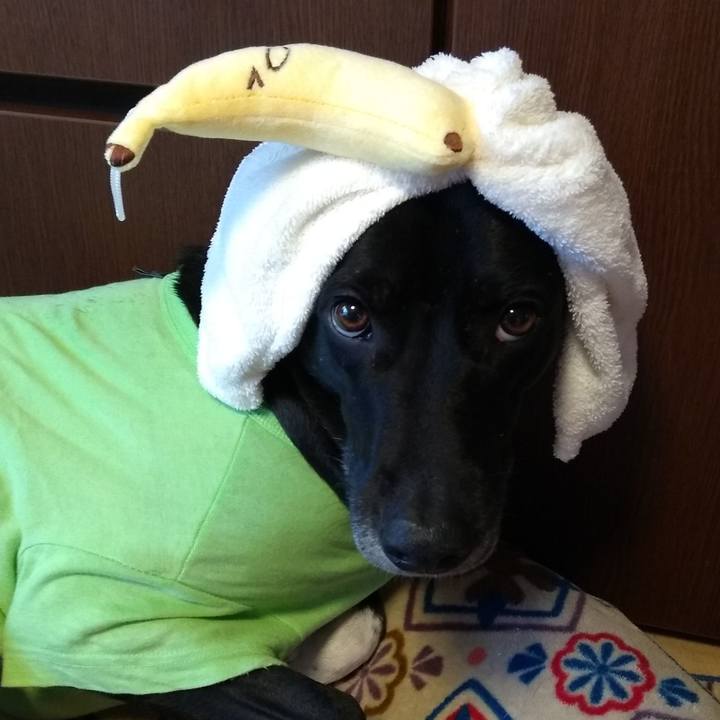 Eb5c4535 2804 4908 b9a4 b09f4fbb7e49 1609287857014