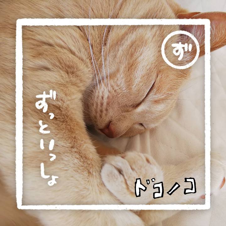 Eb5c79a5 1eab 4cc4 82e4 3be0b3ad9f64 1685936612836