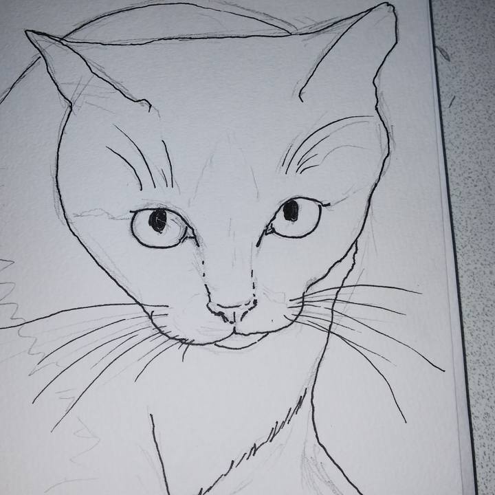 Eb5cc73c 0b1d 48f2 8df5 b48e6d7c9f4e 1533453061790