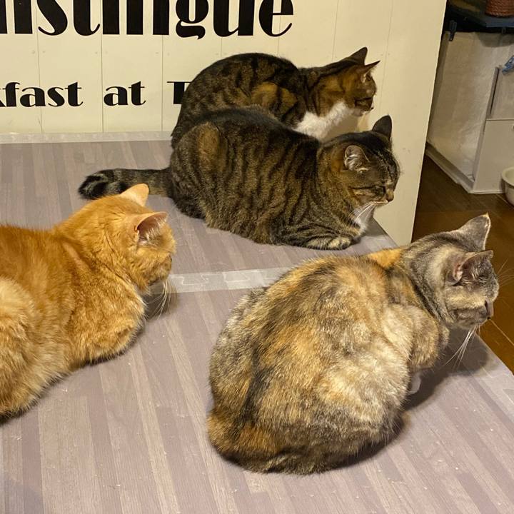 Eb5cca4b 784c 4b9e a845 d0b7f84b89cc 1617285380474