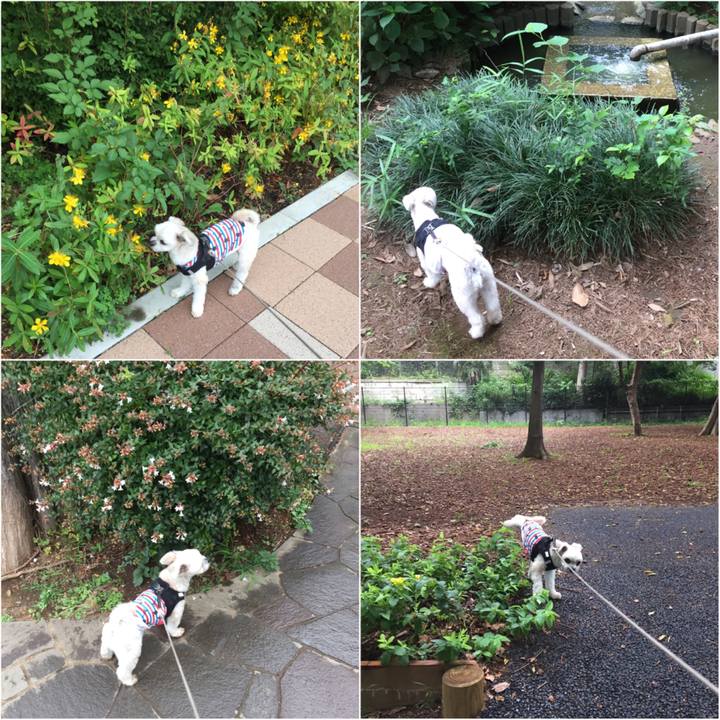 Eb5d05fb 588c 4caf ad5b 437cd5080d3e 1529035574627