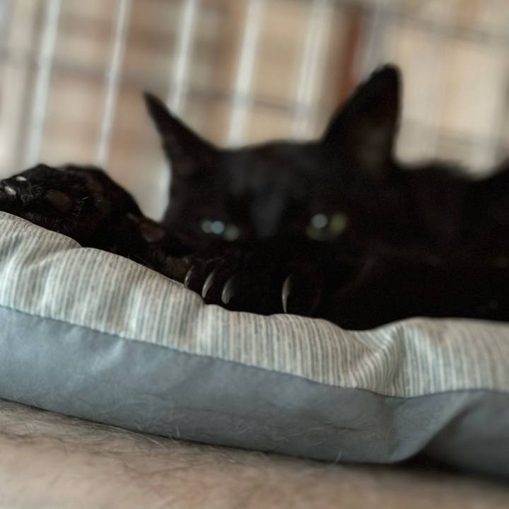 Eb5d159a f70e 4b9c 8171 16b99dc1045b 1696298566296