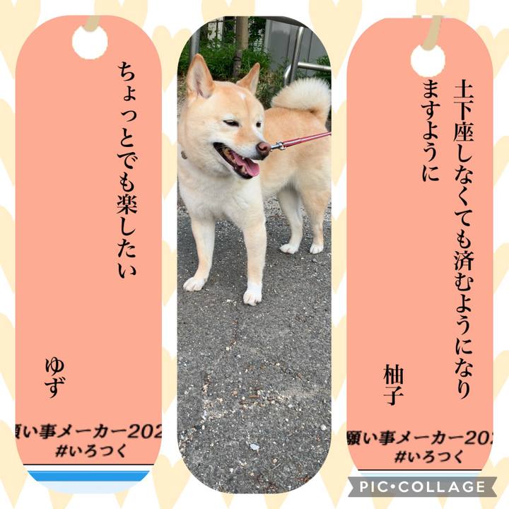 Eb5d6650 08c4 46b1 ad7b d30f7e2e1679 1657196517655